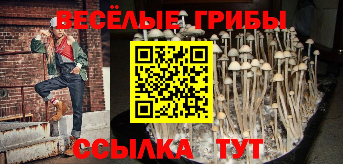 Псилоцибиновые грибы прущие грибы Мелеуз